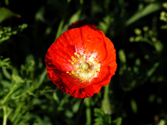 Similar image 384890