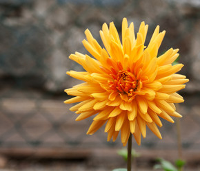 Similar image 384891