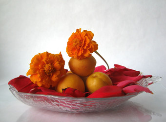 Similar image 384895