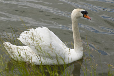 Similar image 384896