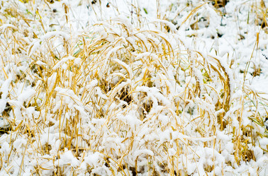 Similar image 384911