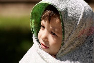 Similar image 384940