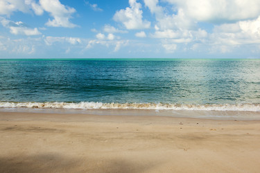 Similar image 385025