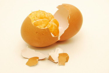 Similar image 385060