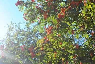 Similar image 385096