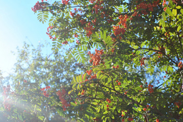 Similar image 385097