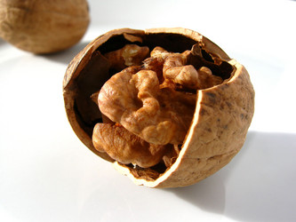 Similar image 385123