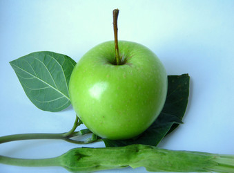 Similar image 385166