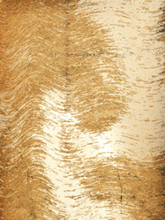 Similar image 385200