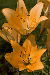 Similar image 385201