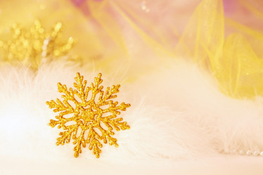 Similar image 385263