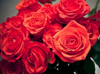 Similar image 385265