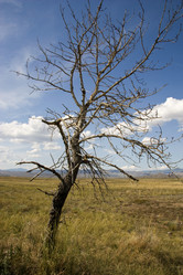 Similar image 385283