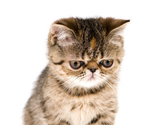 Similar image 385287