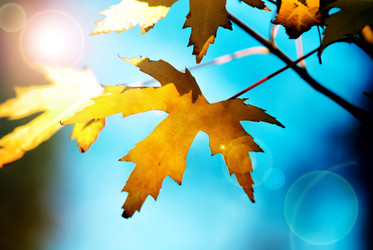 Similar image 385295