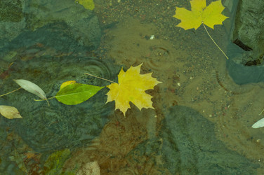 Similar image 385298