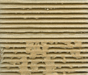 Similar image 385305