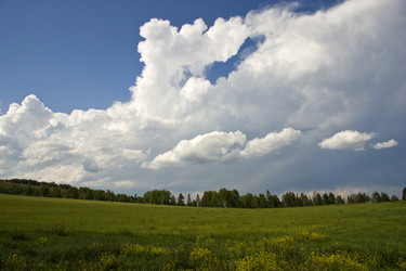 Similar image 385310