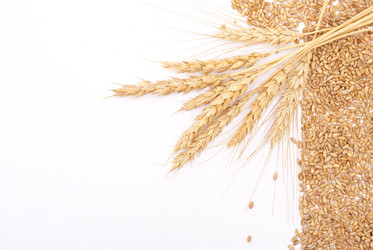 Similar image 385429