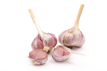 Similar image 385488