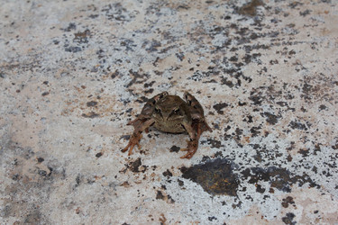 Similar image 385489