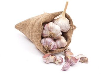 Similar image 385490