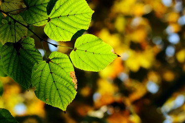 Similar image 385508