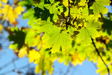 Similar image 385560