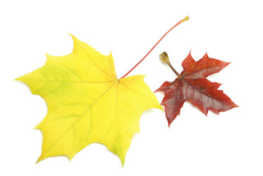 Similar image 385568