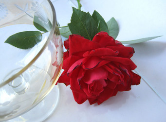 Similar image 385577