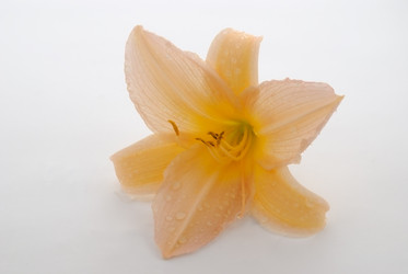 Similar image 385578