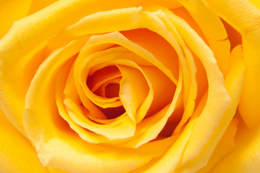 Similar image 385582