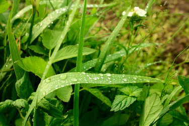 Similar image 385586