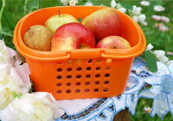 Similar image 385588