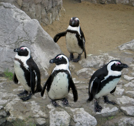 Similar image 385591