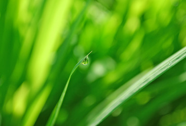 Similar image 385877