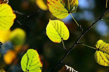 Similar image 385916