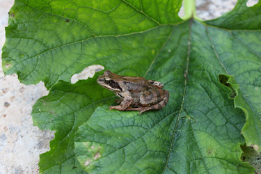 Similar image 385922