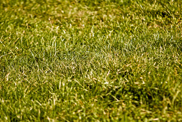 Similar image 385935