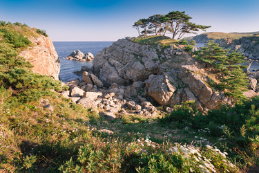 Similar image 385956