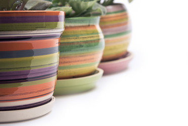 Similar image 386023