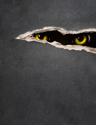 Similar image 386033