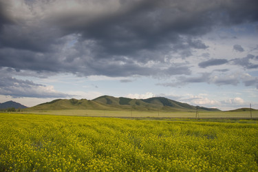 Similar image 386048