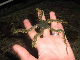 Similar image 386049