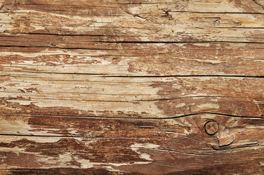 Similar image 386067