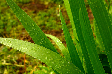 Similar image 386084