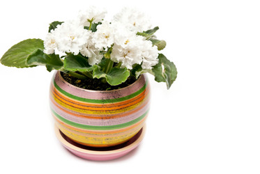 Similar image 386126