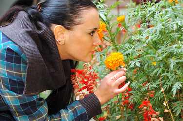 Similar image 386184