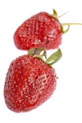 Similar image 386334