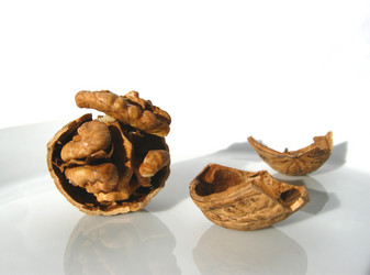 Similar image 386432